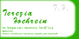 terezia hochrein business card